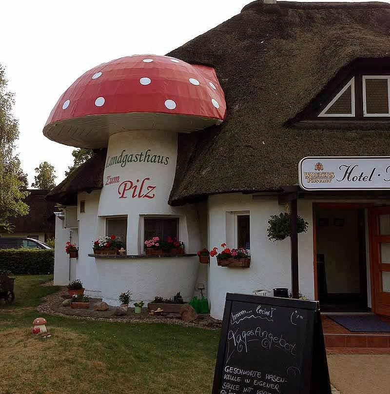 Landgasthaus Zum Pilz主图