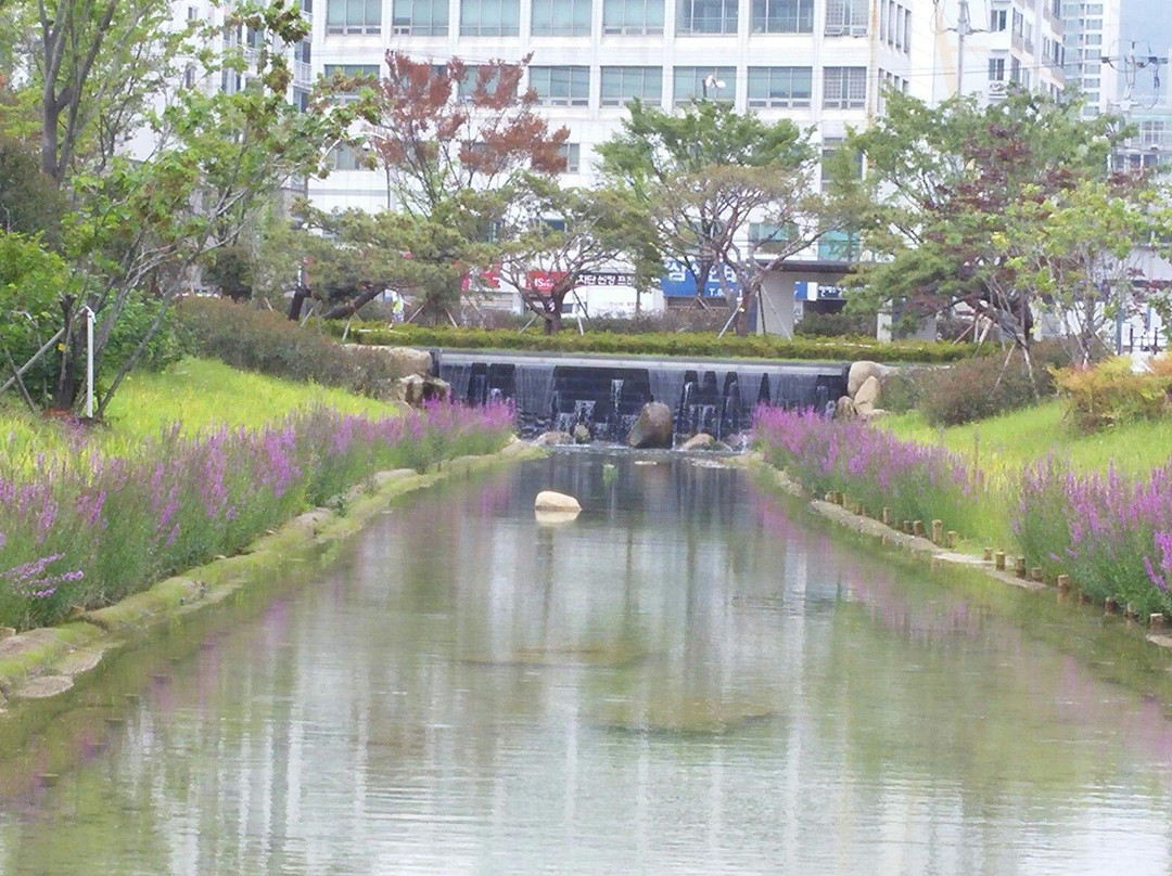 Busan Citizens Park-釜山必去景点