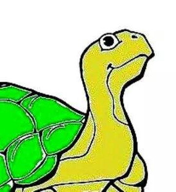 Galapagos Artesanias