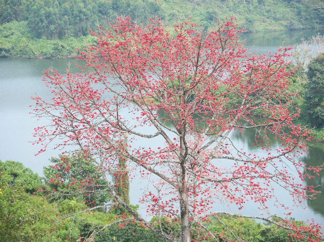 Musafir Day Tours-慕那尔必去景点