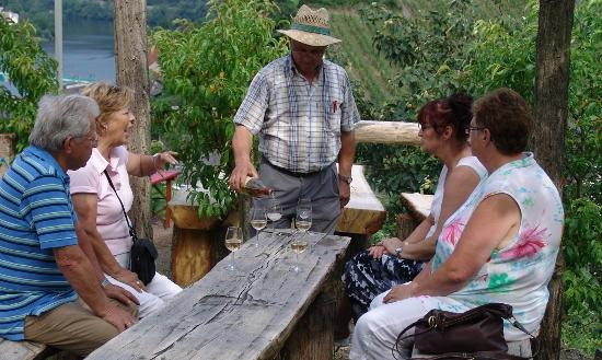 Gästehaus an der Moseltherme主图