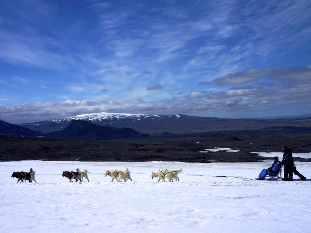 Dogsledding Iceland-莫斯费德斯拜尔必去景点