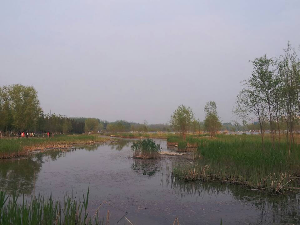 奥林匹克森林公园-北京市必去景点