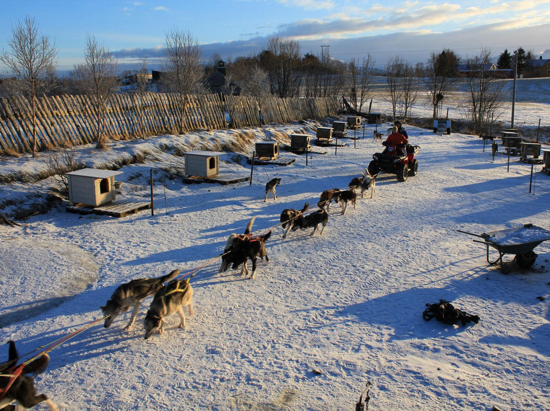 Sortland Villmarkssenter-Sortland必去景点