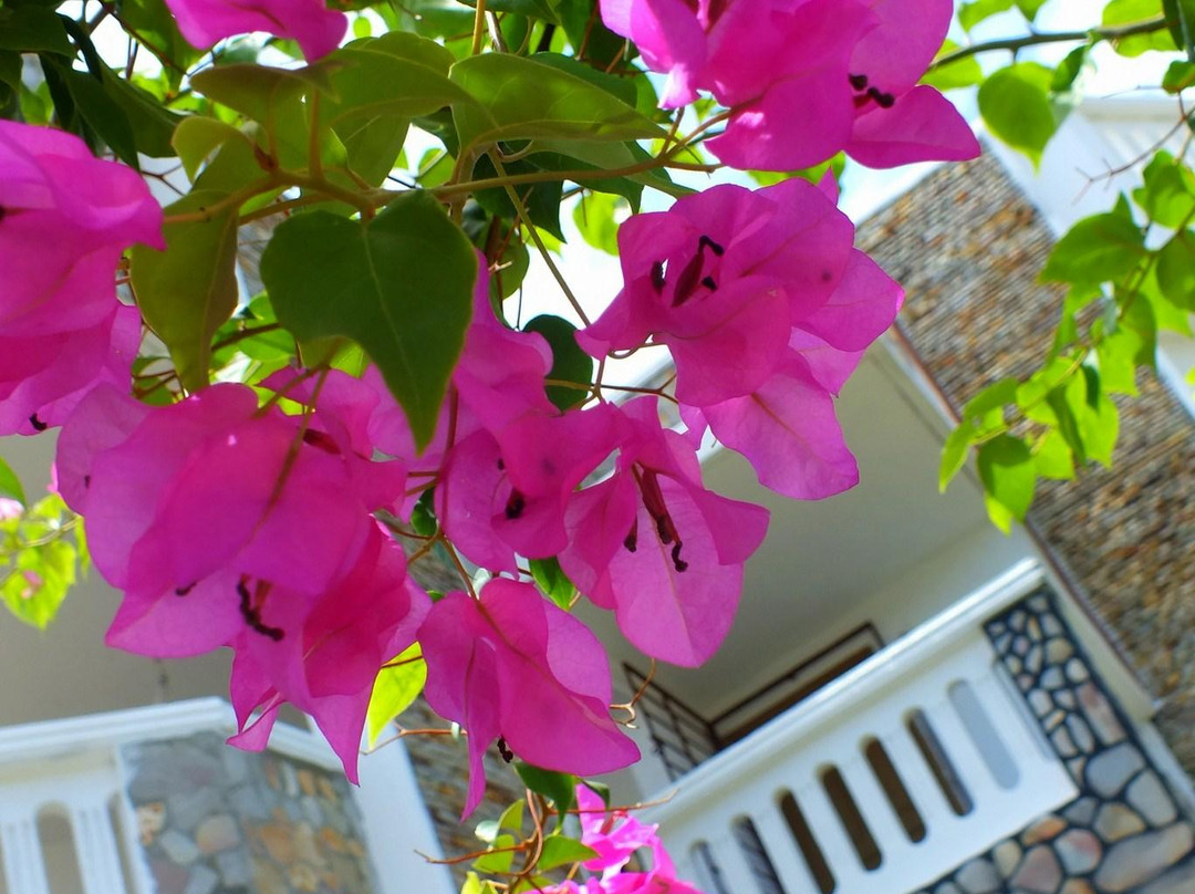 Godomey酒店住宿-La Maison de Canelya