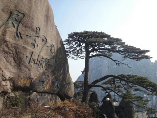 迎客松-黄山市必去景点