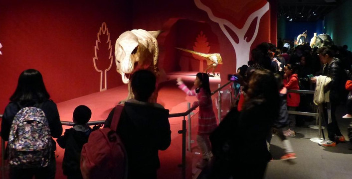 香港科学馆-香港必去景点