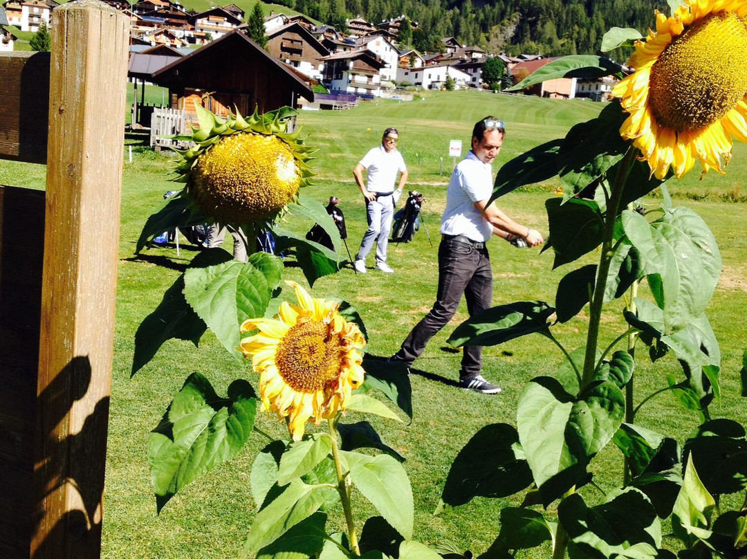 Golf Club Sappada-Sappada必去景点