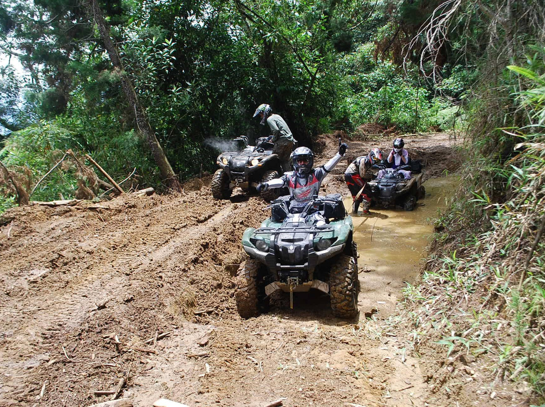 Parque Aventura Escobero景点图片