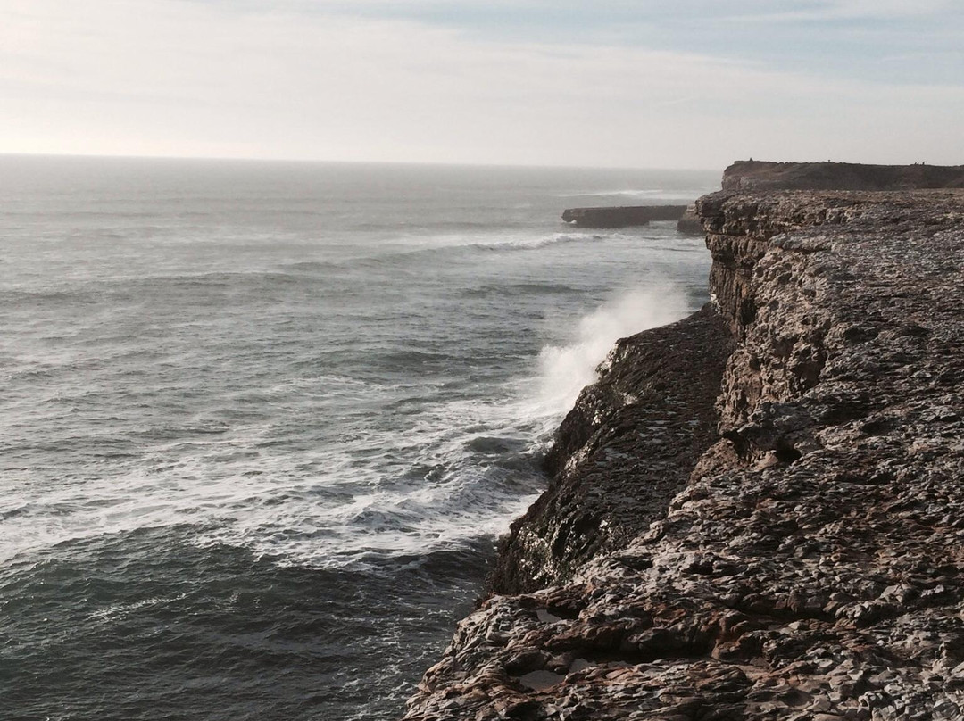 Wilder Ranch State Park-圣克鲁斯必去景点