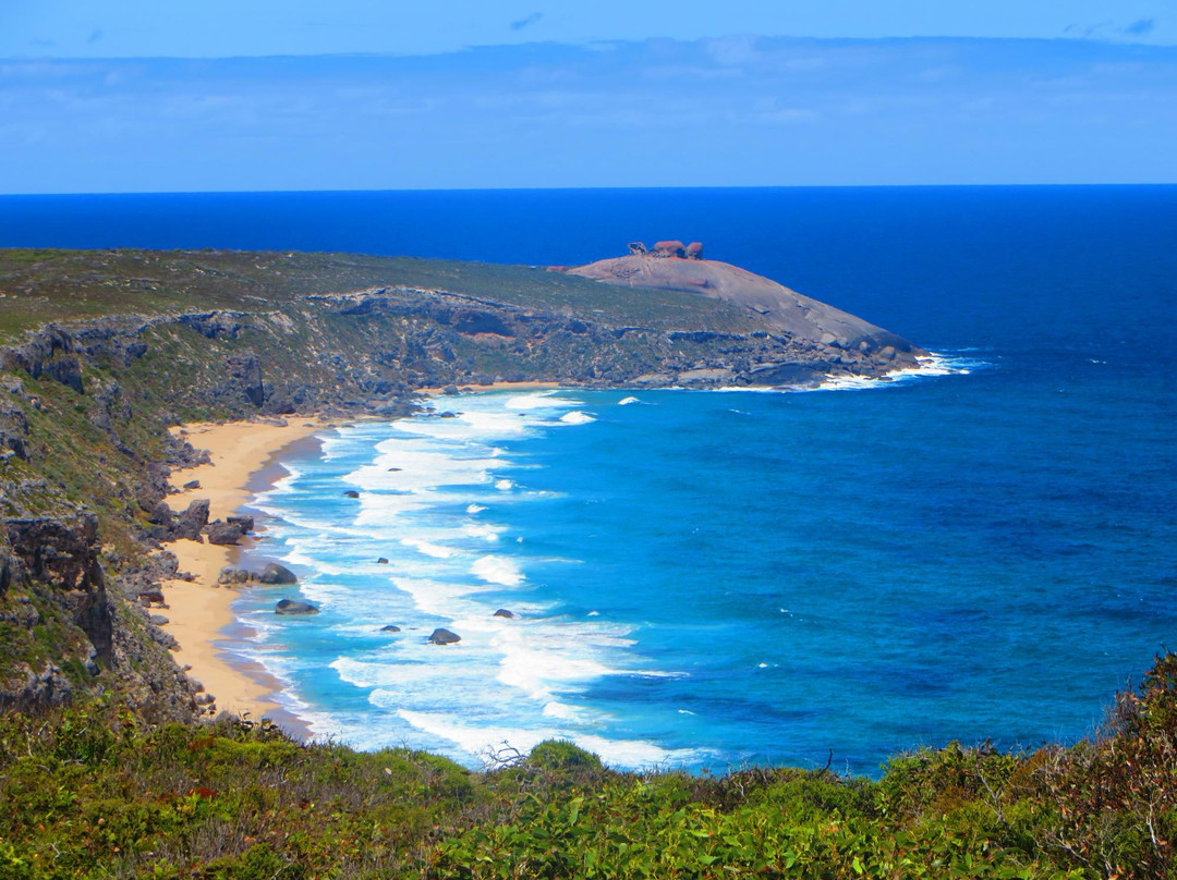 坎加鲁岛海联一日游-阿德莱德必去景点