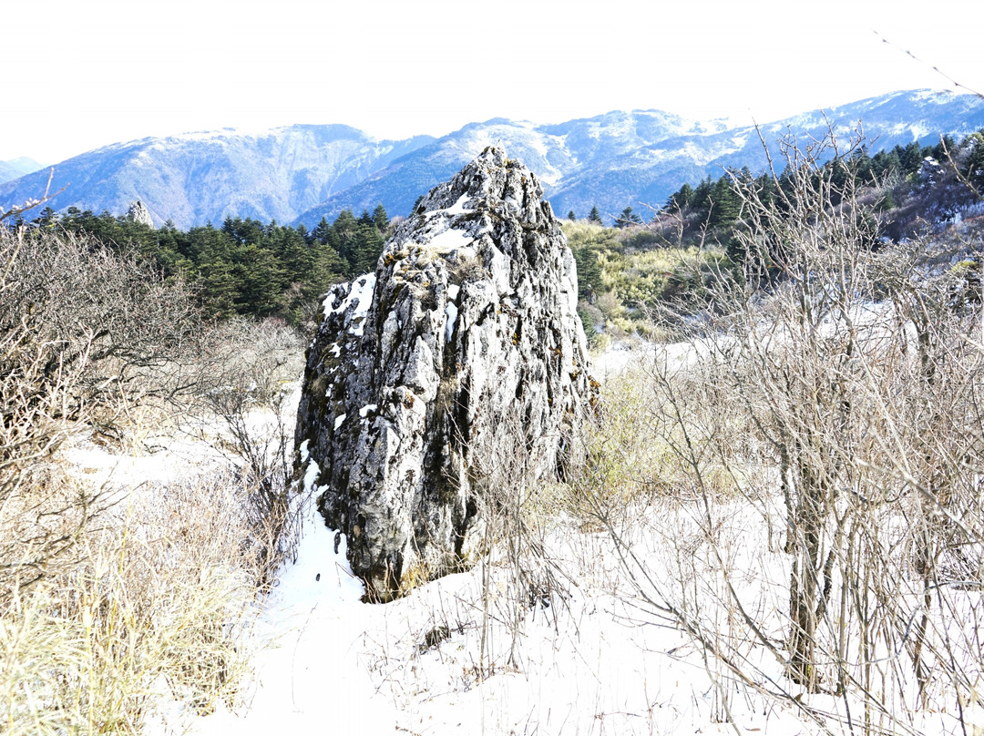 神农顶国家自然保护区-神农架林区必去景点