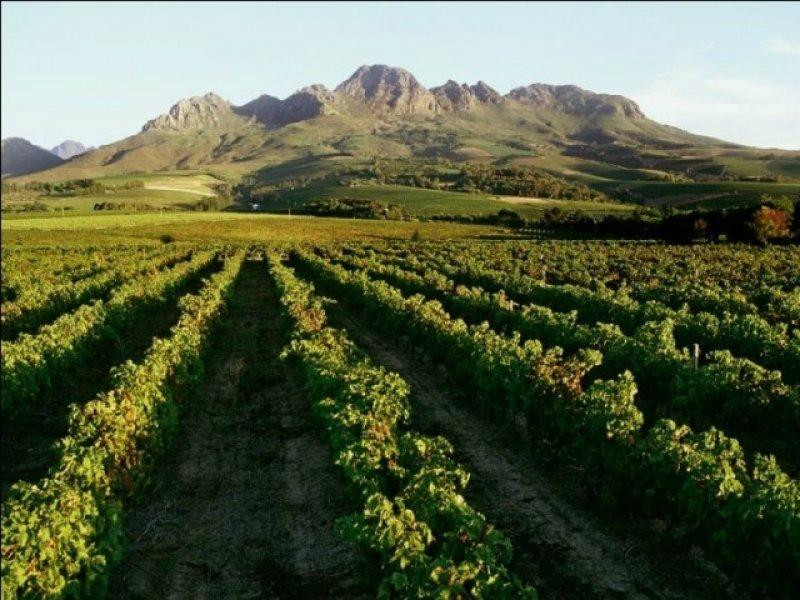 Take 2 Tours - Private Day Tours-开普敦中心区必去景点