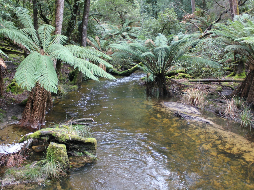 Great Expeditions - Personal & Guided Tasmania Day Tours-霍巴特必去景点