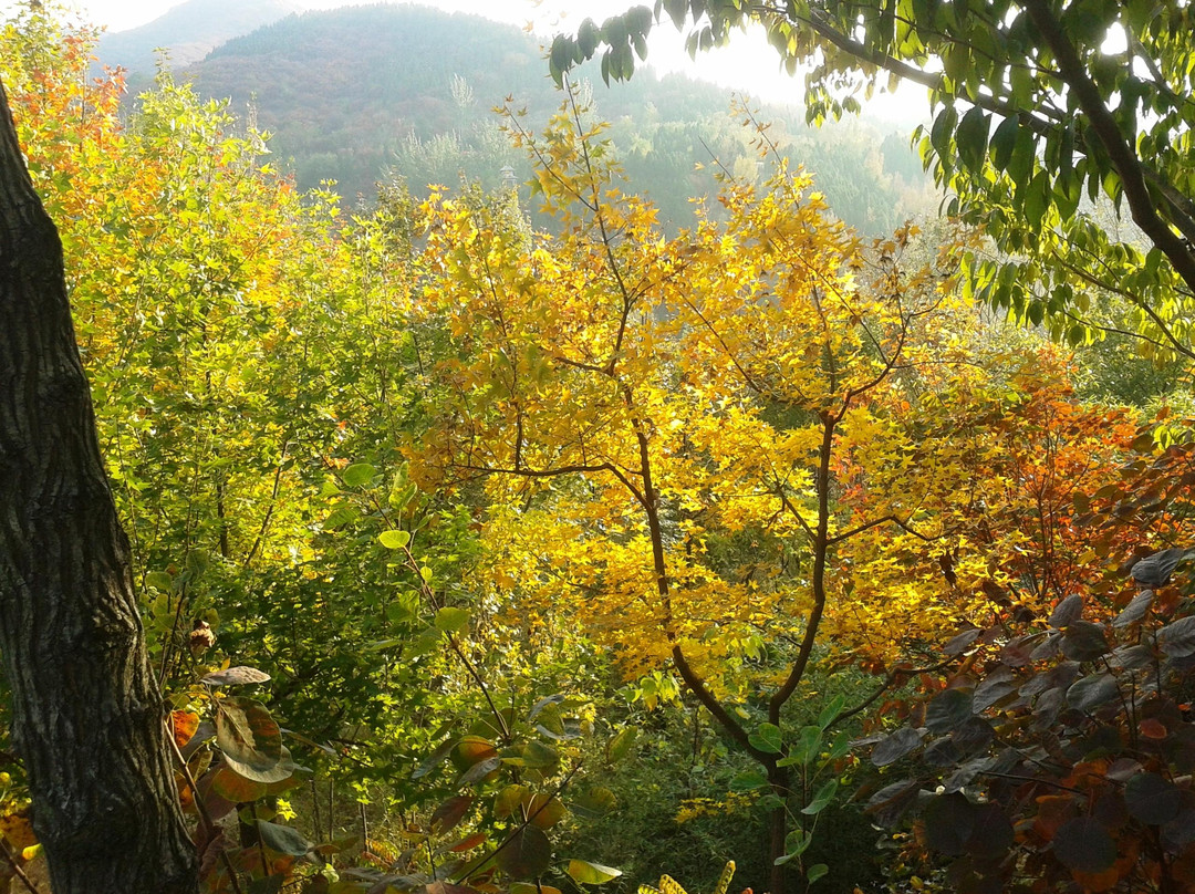 红叶谷-济南市必去景点