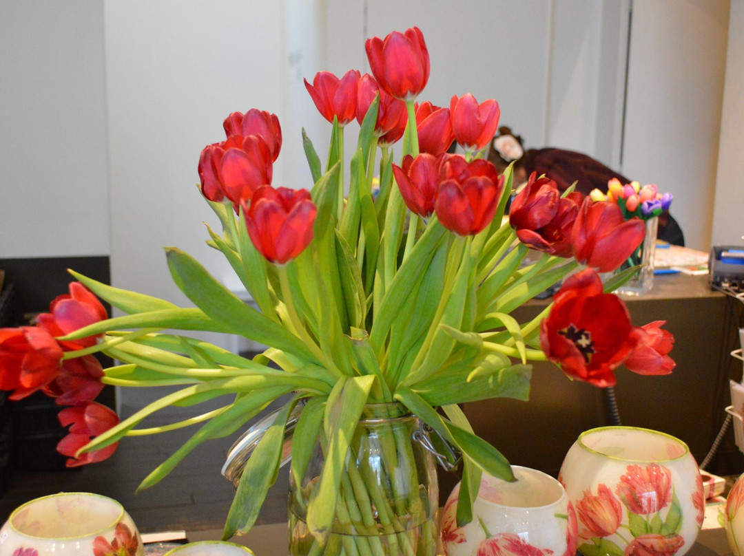 阿姆斯特丹郁金香博物馆-阿姆斯特丹必去景点