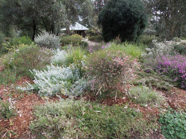 Karwarra Australian Plant Garden-Kalorama必去景点
