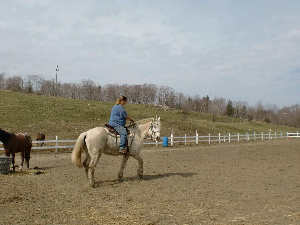 Mountain View Ranch-Danby必去景点
