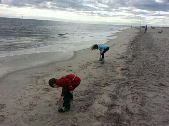 Robert Moses State Park景点图片