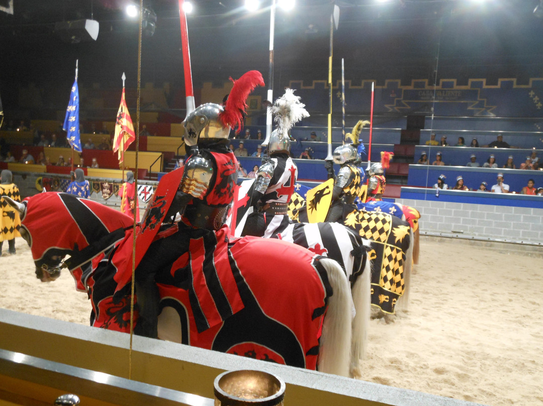 Medieval Times Dinner & Tournament景点图片