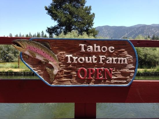 Tahoe Trout Farm-南太浩湖必去景点