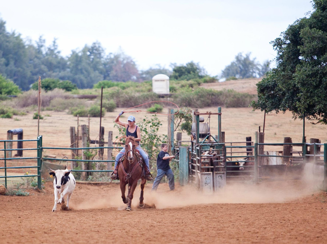 枪托牧场-拉叶必去景点