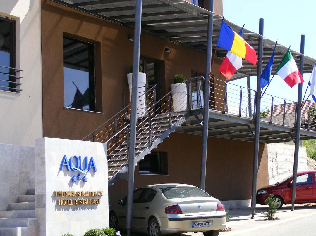 Alesd酒店住宿-Hotel Aqua