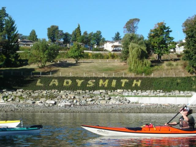 Sealegs Kayaking & Marine Adventures景点图片