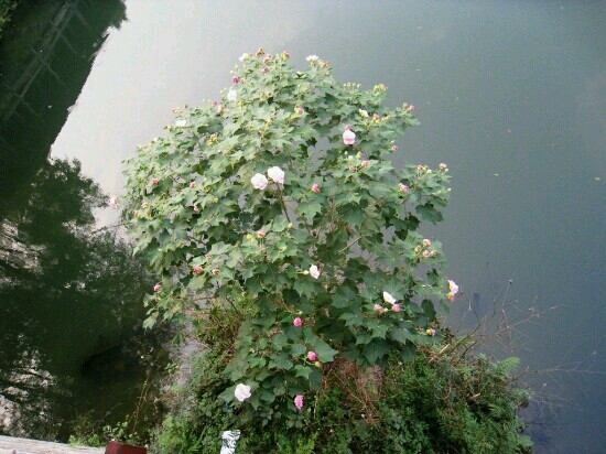 昆明大观楼公园-昆明市必去景点