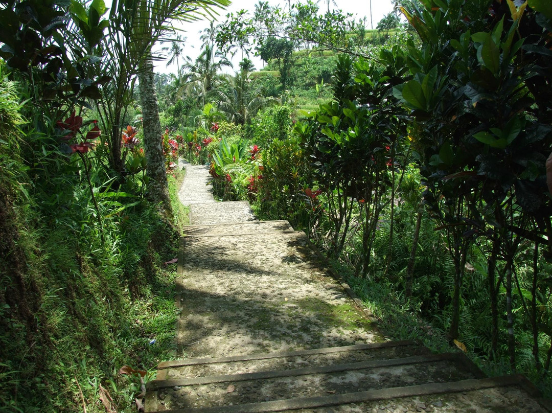 Angseri Hot Spring-达巴南必去景点