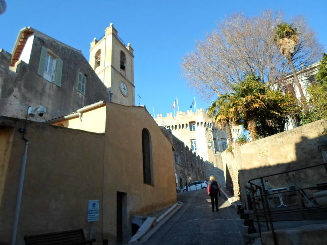 Château-Musée Grimaldi景点图片