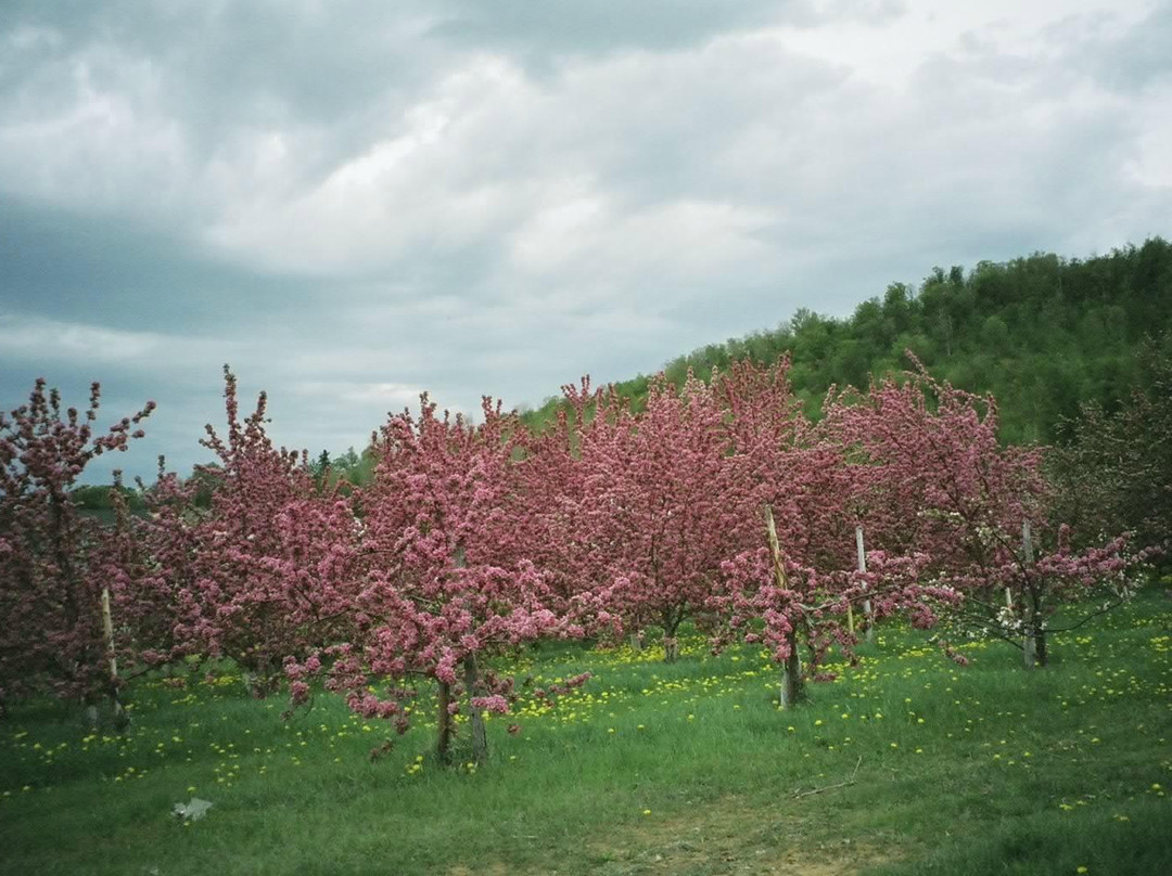 Cidrerie Michel Jodoin-Rougemont必去景点