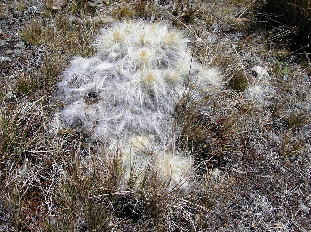 Alpamayo-瓦斯卡兰国家公园必去景点