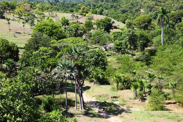 Parque Nacional Desembarco del Granma景点图片