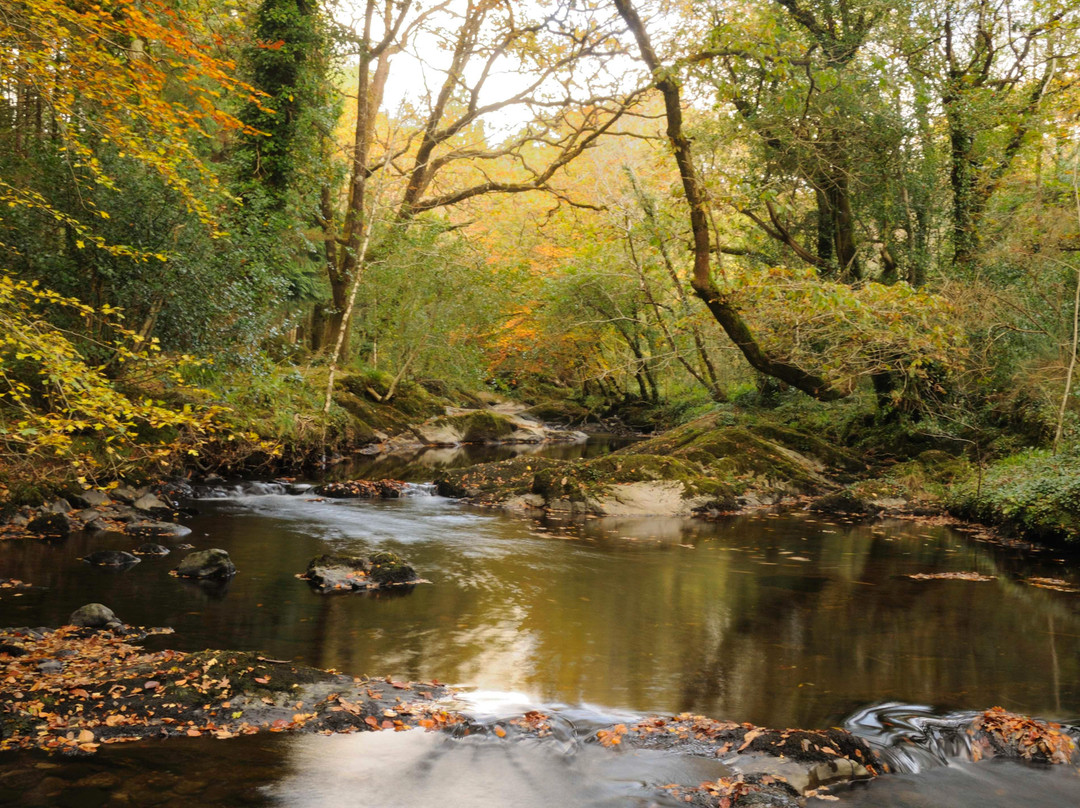 Glengariff Woods景点图片