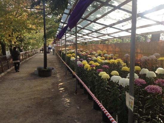 Garyu Park-须坂市必去景点