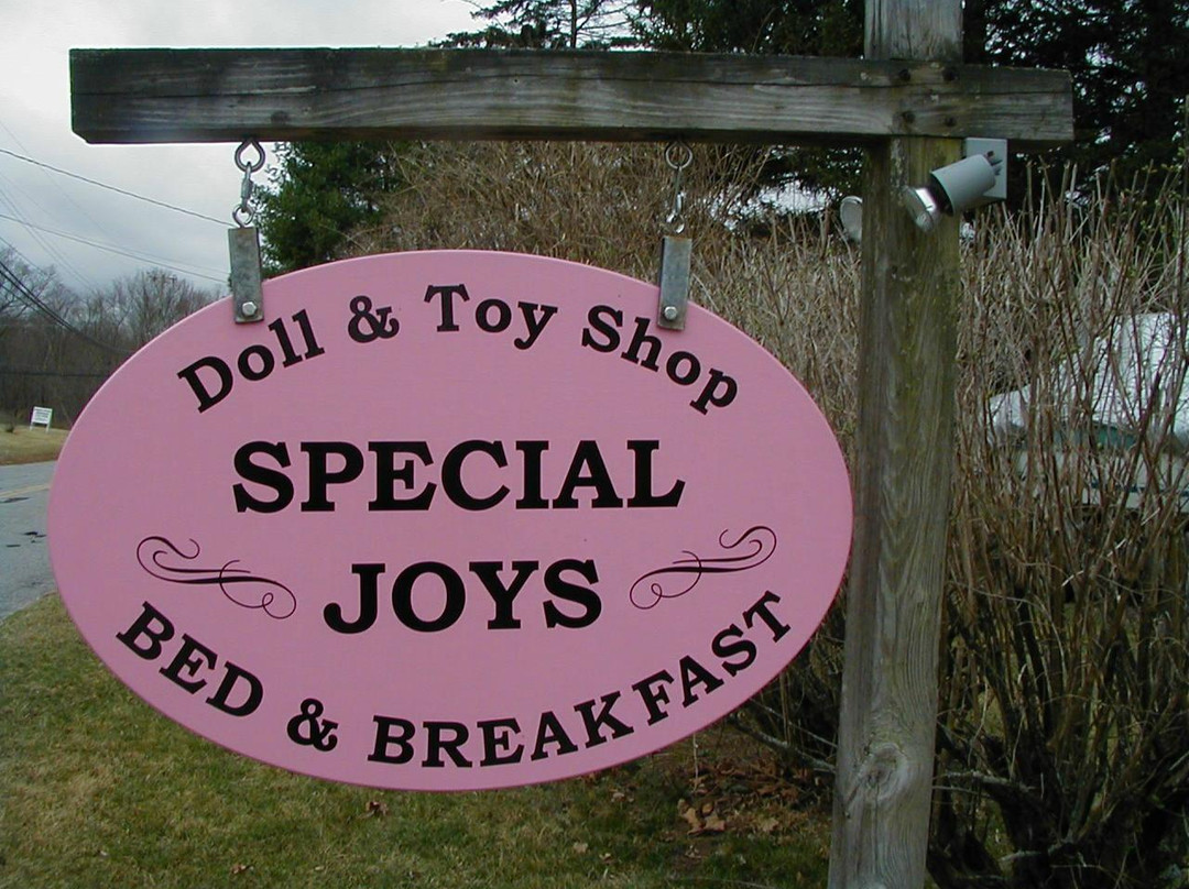 Special Joys Bed and Breakfast主图