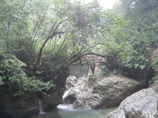 青城山后山 景点图片