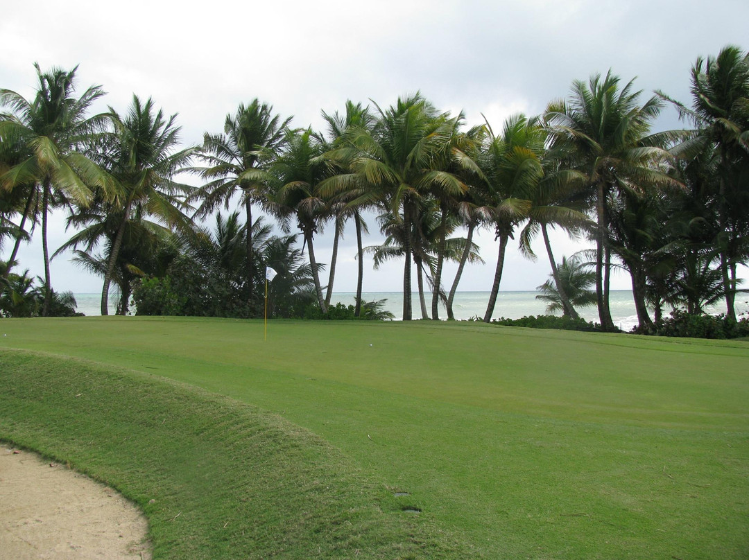 Palmas Del Mar Golf Club-Humacao必去景点