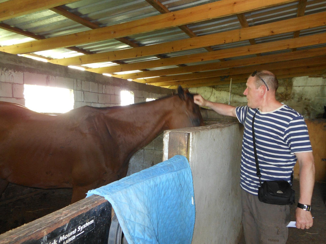 Caribbean International Riding Centre-Saint Andrew Parish必去景点