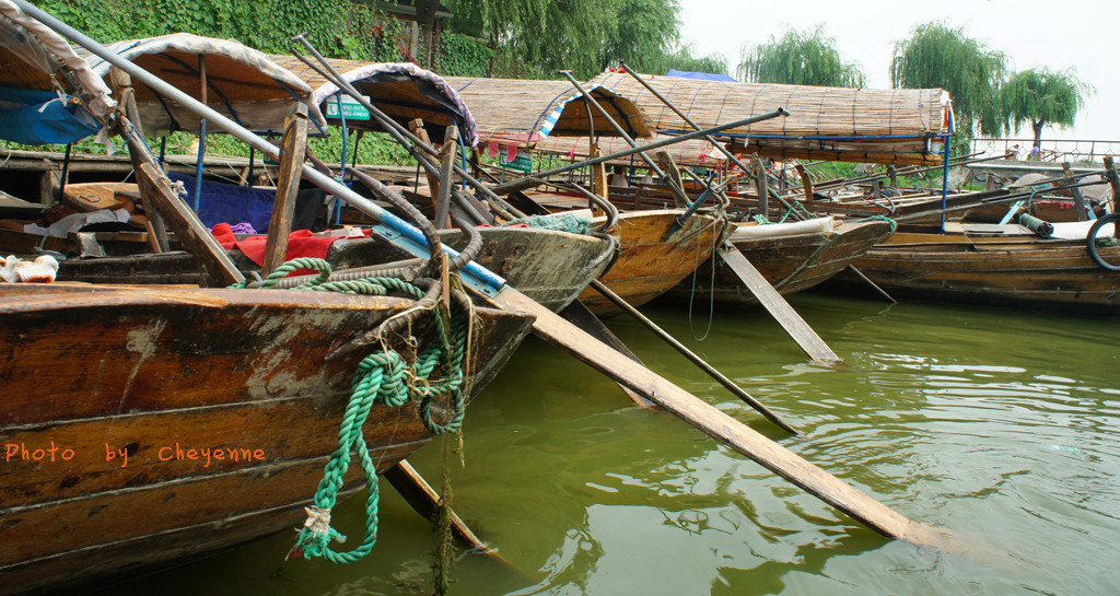 白洋淀之窗-安新县必去景点