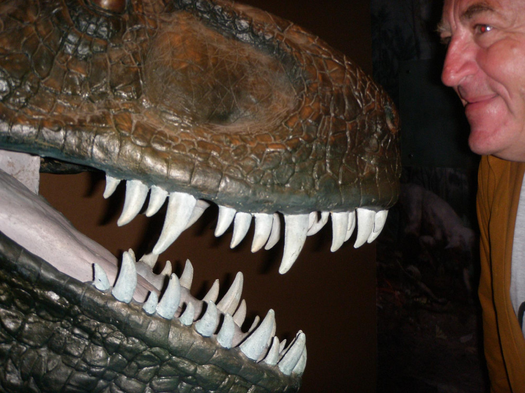 昆明动物博物馆-昆明市必去景点