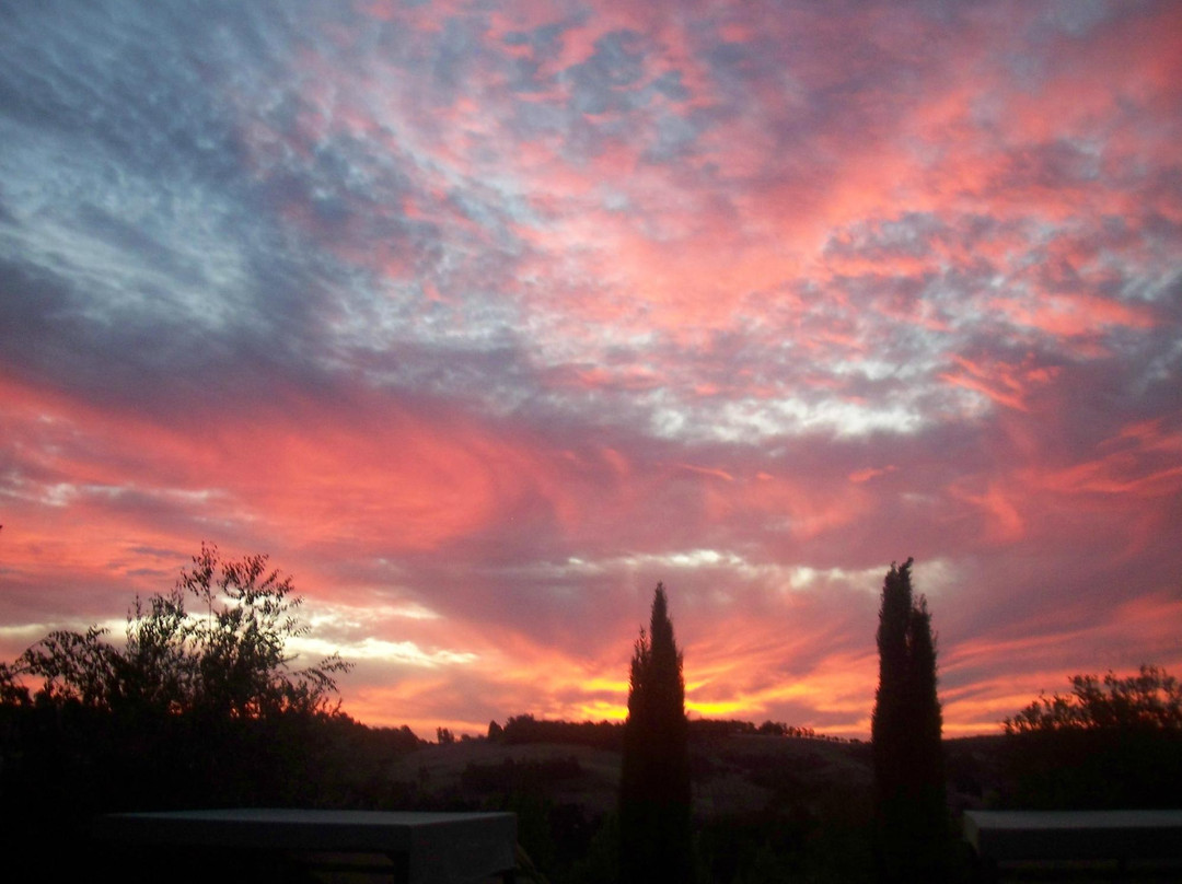 Oakfield Country House主图