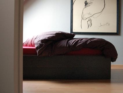 B&B Kortebrugge-客卧
