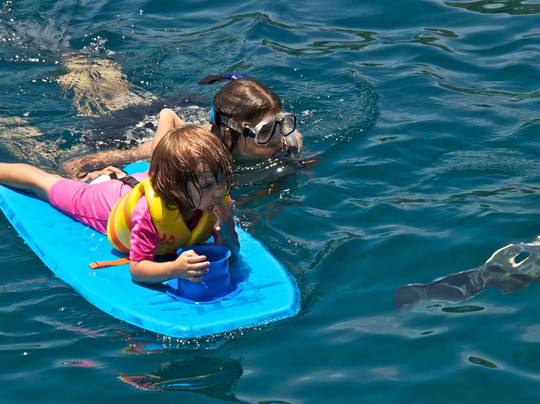 大岛顺风浮潜之旅-凯鲁瓦-柯纳必去景点