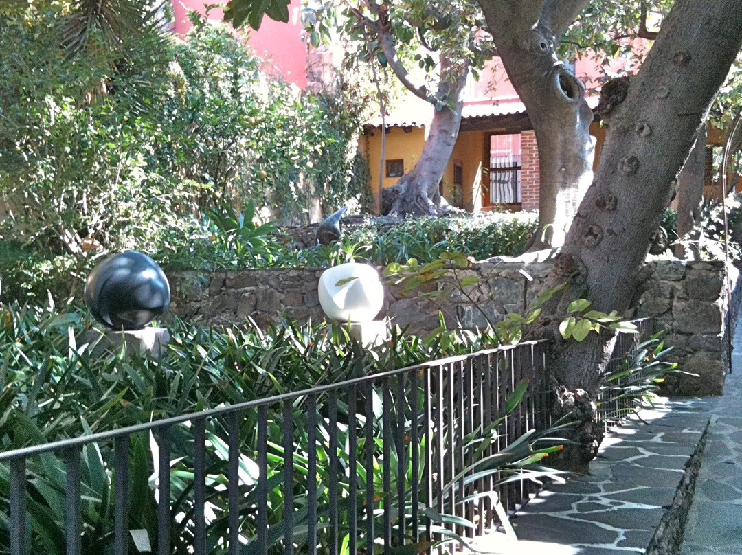 Jardín Allende景点图片