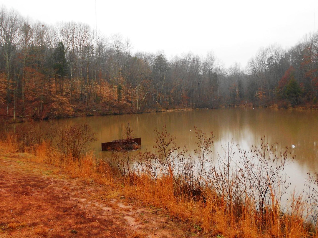 Reedy Creek Nature Center and Preserve景点图片