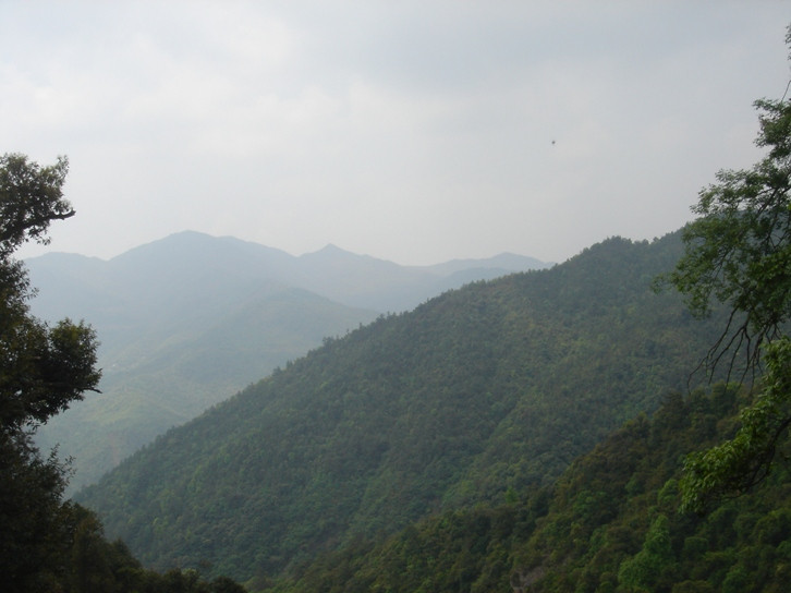 丫山森林公园-大余县必去景点
