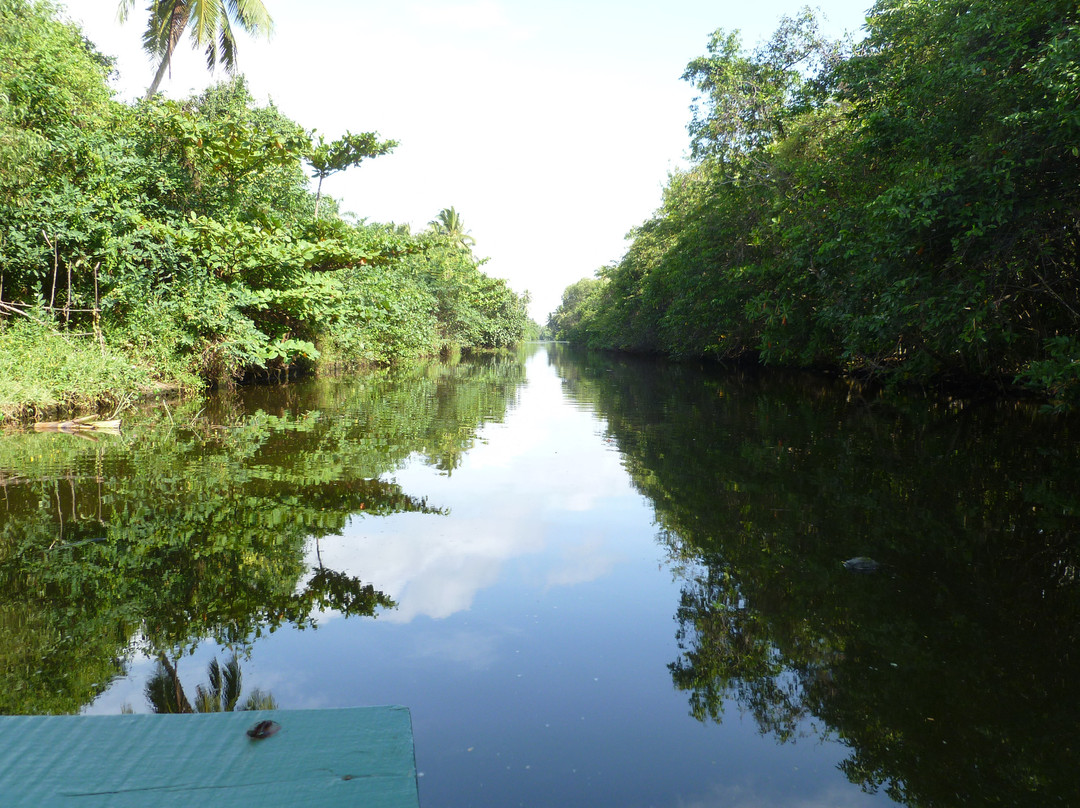 Muthurajawela Marsh-尼甘布必去景点