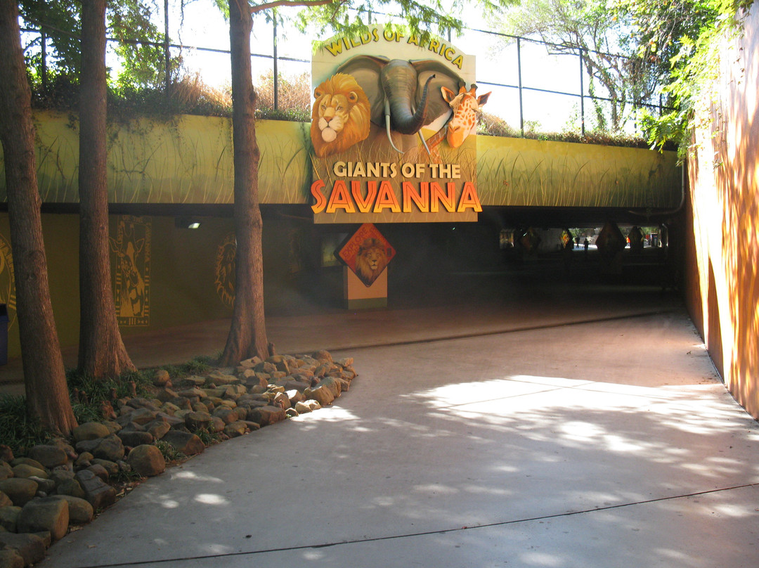 达拉斯动物园-达拉斯必去景点